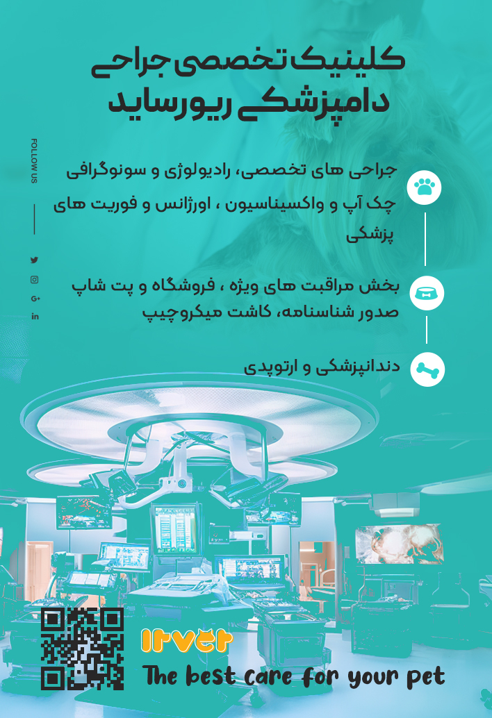 کلینیک جراحی دامپزشکی ریور ساید